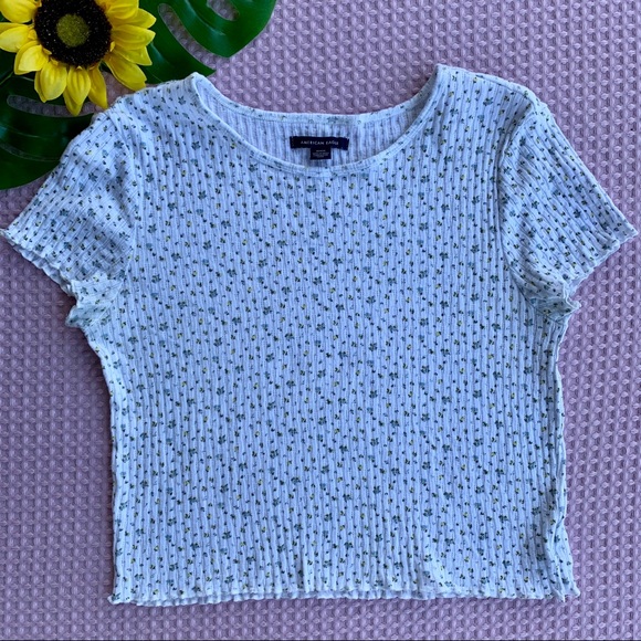American Eagle Outfitters Tops - American Eagle Crop Top